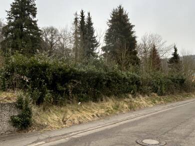 Grundstück zum Kauf 219.000 € 870 m² Grundstück Oberwürzbach St. Ingbert 66386