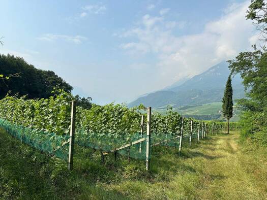 Grundstück zum Kauf 289.000 € 4.100 m² Grundstück Kaltern an der Weinstraße. 39052