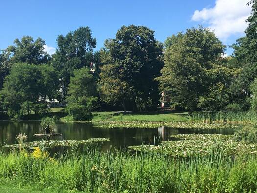 Wohnung zur Miete 580 € 2 Zimmer 54 m² Geschoss EG/3 frei ab 01.07.2026 Geibelstraße 68 Eutritzsch Leipzig 04129