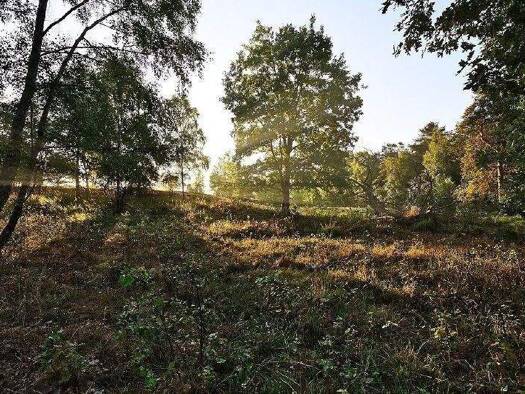 Wohnung zum Kauf provisionsfrei 299.999 € 3 Zimmer 76 m² 1. Geschoss Ullersdorf Radeberg 01454