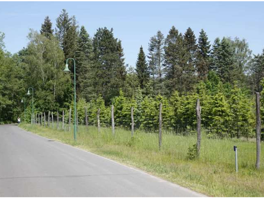 Grundstück zum Kauf 320.000 € 5.140 m² Grundstück frei ab sofort Zeesen Königs Wusterhausen 15711