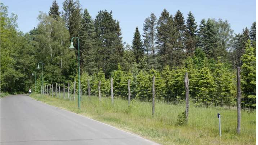 Grundstück zum Kauf 320.000 € 5.140 m² Grundstück frei ab sofort Zeesen Königs Wusterhausen 15711