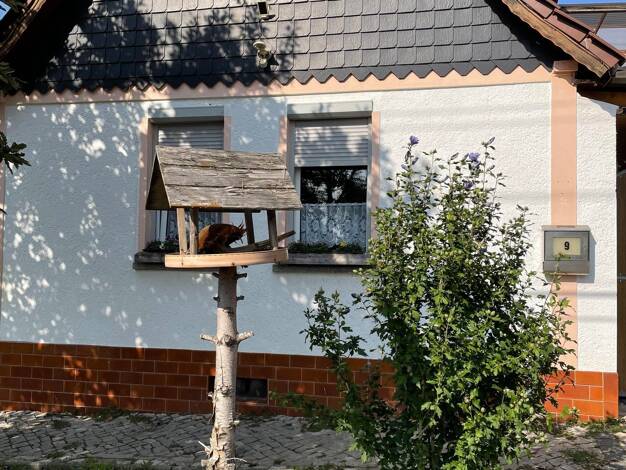 Einfamilienhaus zum Kauf 69.500 € 4 Zimmer 120 m² 1.110 m² Grundstück Schackstedt Aschersleben 06449
