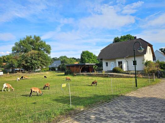 Einfamilienhaus zum Kauf 275.000 € 4 Zimmer 135 m² 1.127 m² Grundstück frei ab sofort Am Börnecker 1 F Berßel Osterwieck 38835