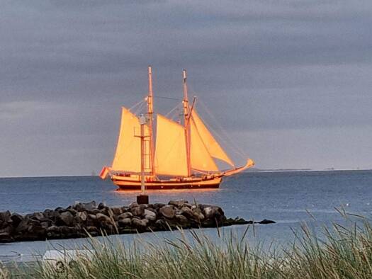 Einfamilienhaus zum Kauf 339.000 € 3 Zimmer 96 m² 501 m² Grundstück frei ab 01.02.2026 Damp 24351