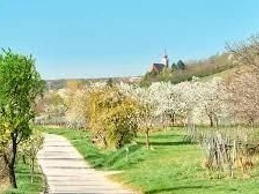 Wohnung zum Kauf 283.500 € 4 Zimmer 81 m² Donnerskirchen 7082