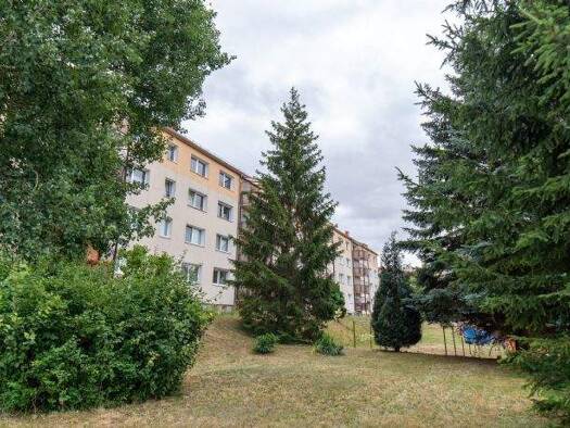 Wohnung zur Miete 315 € 2 Zimmer 47 m² 1. Geschoss frei ab sofort Wettiner Ring 16 Colditz 04680