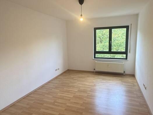 Wohnung zur Miete 350 € 1 Zimmer 21 m² 2. Geschoss Innenstadt Kaiserslautern 67663
