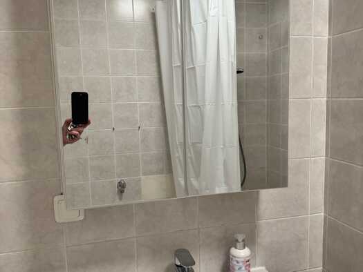 Wohnung zur Miete 500 € 1 Zimmer 36 m² Geschoss 2/3 frei ab sofort Bruchsal Bruchsal 76646