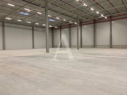 Halle/Industriefläche zur Miete provisionsfrei 1.939 m² Lagerfläche teilbar ab 1.939 m² Lierenfeld Stadtbezirk 8 40231