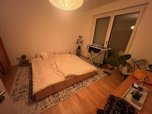 Wohnung zur Miete 760 € 2 Zimmer 59,7 m² EG frei ab 01.03.2026 Boehringer Straße 3/ 1 Achern 77855