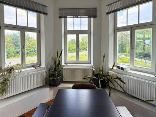 Bürofläche zur Miete provisionsfrei 13 € 424 m² Bürofläche Thalermühle 1 Innenstadt Erlangen 91054