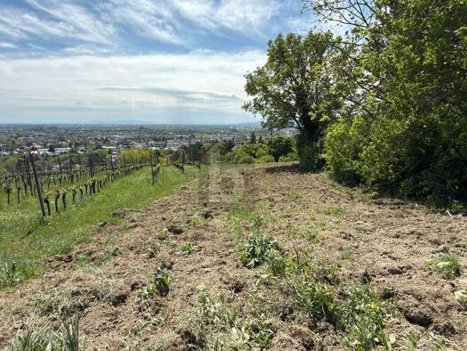 Land-/Forstwirtschaft zum Kauf 389.000 € 1.890 m² Grundstück Baden 2500