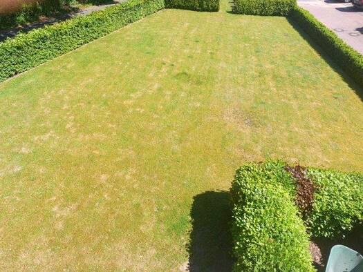 Grundstück zum Kauf provisionsfrei 130.500 € 412 m² Grundstück Stadt Ibbenbüren 49477