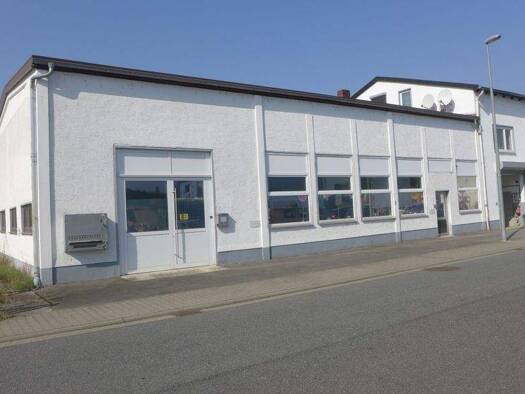 Lagerhalle zur Miete 1.350 € 220 m² Lagerfläche Groß-Gerau 64521