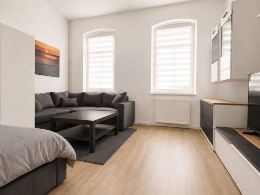 Studio zur Miete 275 € 1 Zimmer 40 m² EG frei ab 01.08.2026 Köthen Köthen (Anhalt) 06366