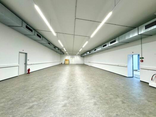 Halle/Industriefläche zur Miete 2.800 € 350 m² Lagerfläche Antonsviertel Augsburg 86159