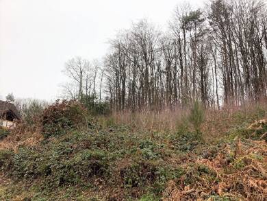 Grundstück zum Kauf 65.000 € 1.135 m² Grundstück Forst Forst 57537