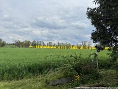 Land-/Forstwirtschaft zum Kauf 188.943 € 62.981 m² Grundstück Beutersitz Uebigau-Wahrenbrück 04924