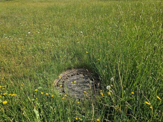 Grundstück zum Kauf 105.000 € 1.100 m² Grundstück Forstwald Waldhäuserwald 94556