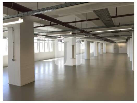 Lagerhalle zur Miete 500 m² Lagerfläche Hammerbrook Mitte 20537
