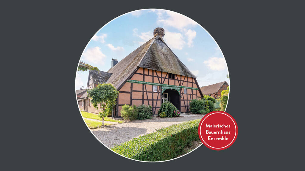 Bauernhaus zum Kauf 420.000 € 12 Zimmer 282 m² 7.345 m² Grundstück Penkefitz Dannenberg (Elbe) 29451