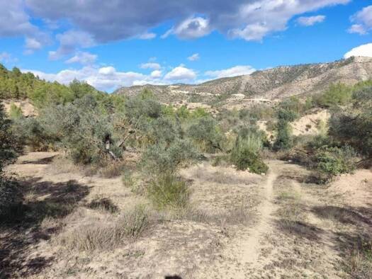 Acker-/Waldstück zum Kauf 10.000 € Berrús S/N Riba-roja d'Ebre 43790