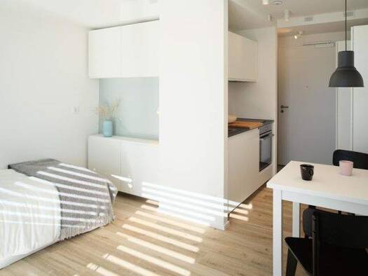 Wohnung zur Miete 830 € 1 Zimmer 21,5 m² EG Altstadt Freiburg im Breisgau 79098