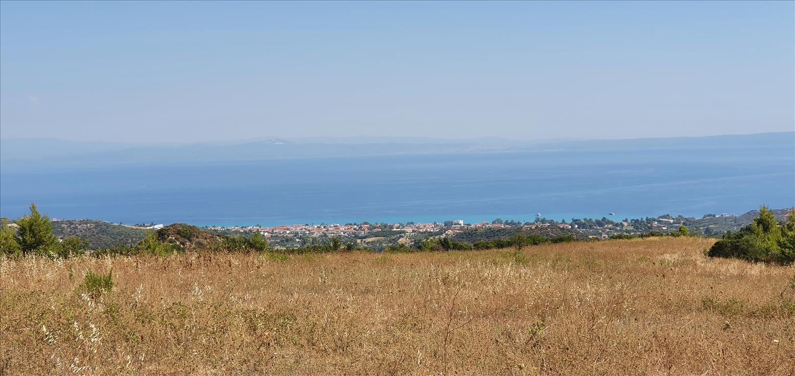 Land-/Forstwirtschaft zum Kauf 1.000.000 € 12.000 m²<br/>Grundstück Chalkidiki