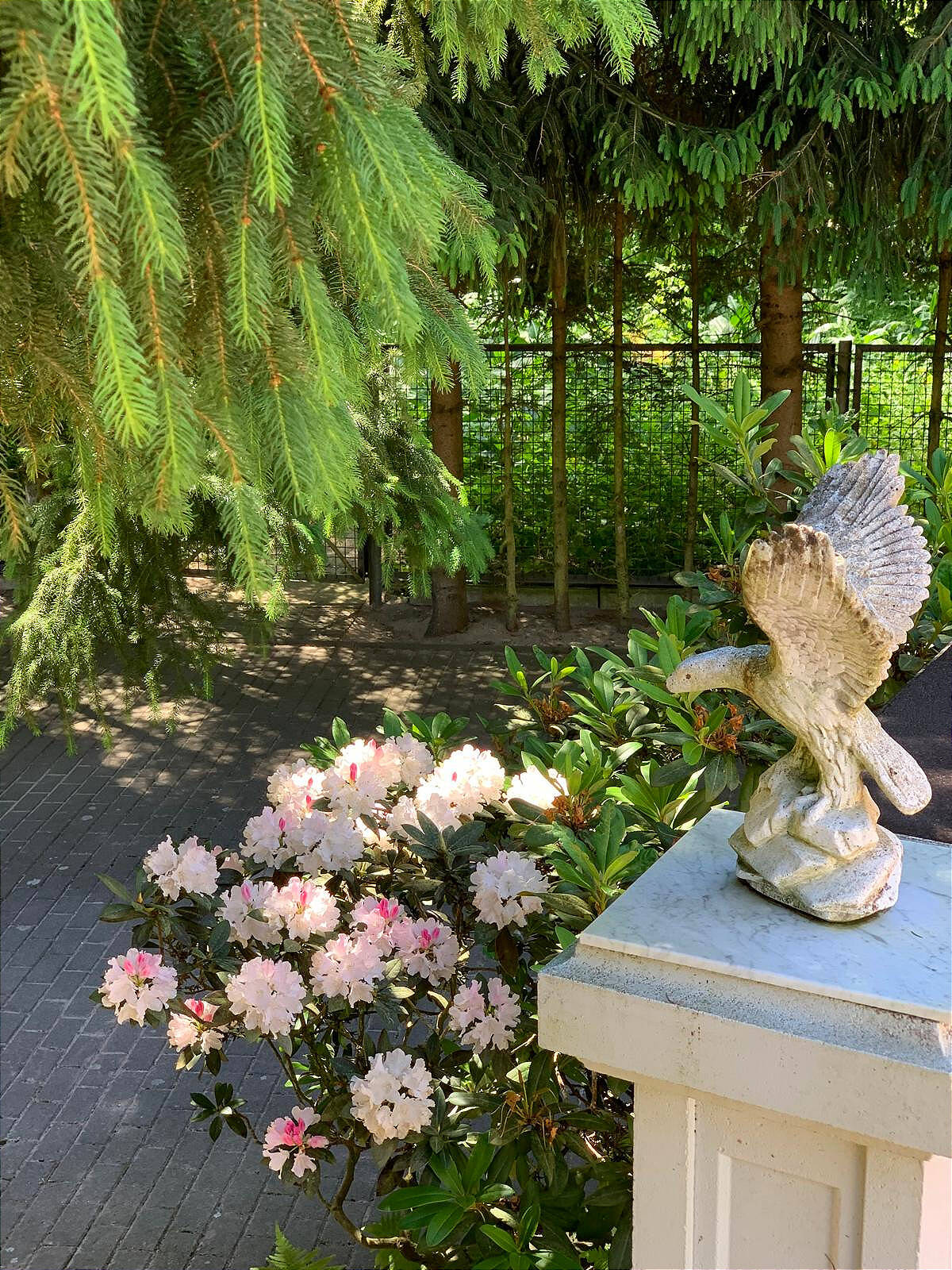 Property thumbnail 10