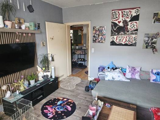 Wohnung zur Miete 355 € 3 Zimmer 55 m² Geschoss 1/2 frei ab 01.04.2026 Gebhardshagen Salzgitter 38229