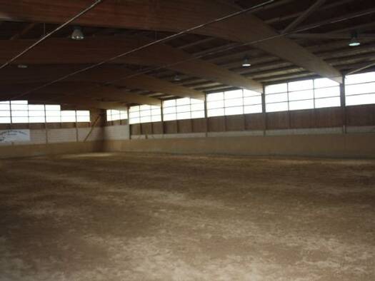 Reiterhof zum Kauf Innenstadt Neumünster 24534 