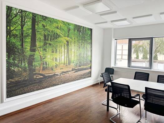 Büro zur Miete provisionsfrei 750 € 3,5 Zimmer 100 m² Bürofläche Walsrode 29664