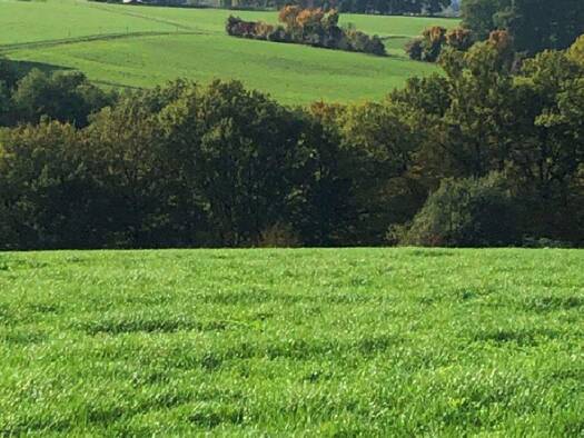 Einfamilienhaus zum Kauf 697.000 € 5 Zimmer 180 m² 837 m² Grundstück Hammelshahn Buchholz 53567