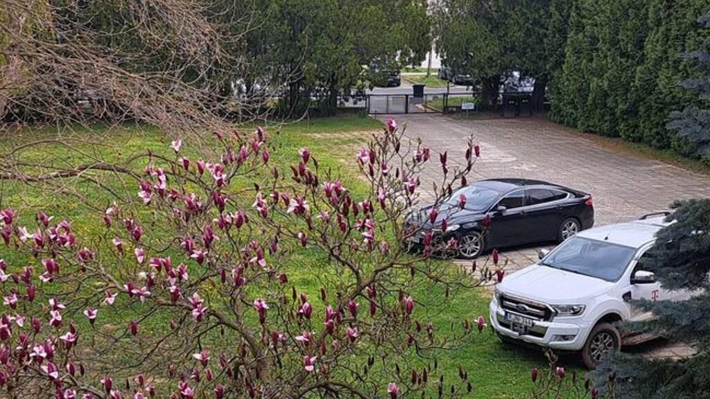 Haus zum Kauf 68.000 € 35 m² 6.250 m² Grundstück Zalakaros