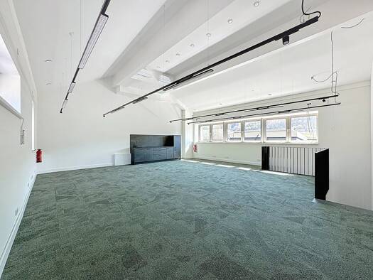 Bürofläche zur Miete provisionsfrei 5.500 € 220 m² Bürofläche Wellenstein 5470