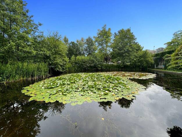 Bürofläche zur Miete provisionsfrei 659 € 10 m² Bürofläche Ruhrallee 185 Bergerhausen Essen 45136