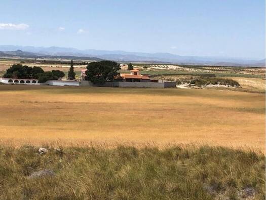 Acker-/Waldstück zum Kauf 2.600.000 € >Av. Ntra. Sra. de la Asunción > Jumilla 30520