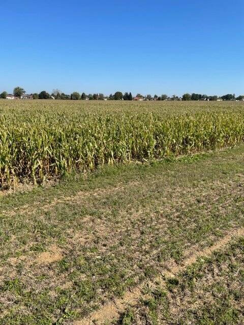 Landwirtschaftliche Fläche zum Kauf - Ansicht 3