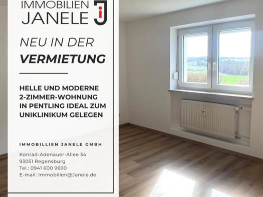 Wohnung zur Miete 595 € 2 Zimmer 58 m² EG frei ab sofort Pentling 93080