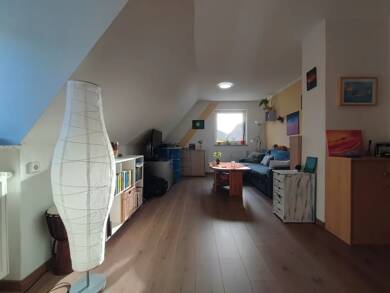 Wohnung zur Miete 388 € 1 Zimmer 29 m² Geschoss 1/3 Exerzierplatz Kiel 24103