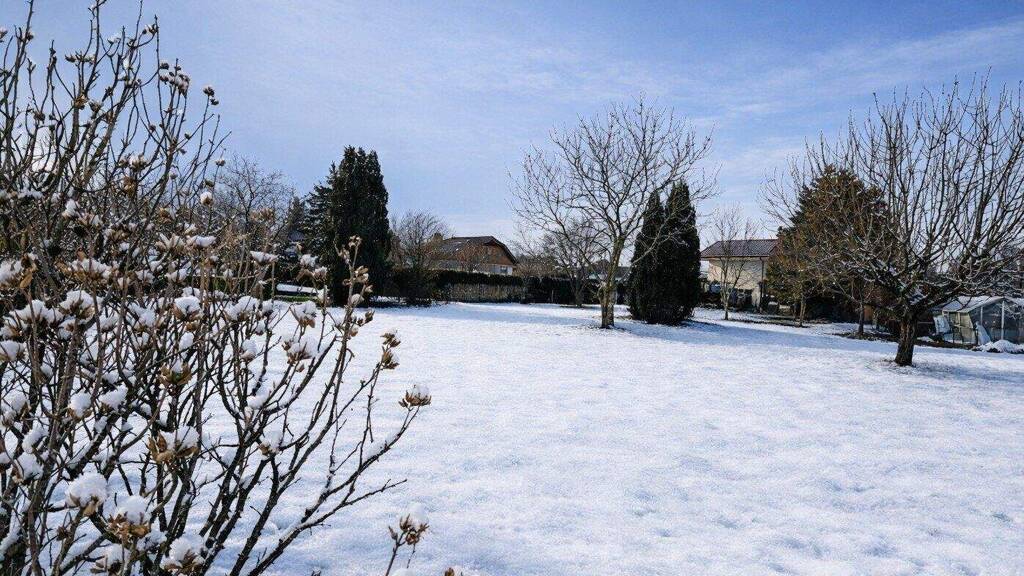 Grundstück zum Kauf 1.350.000 € 989 m² Grundstück Salzburg 5020