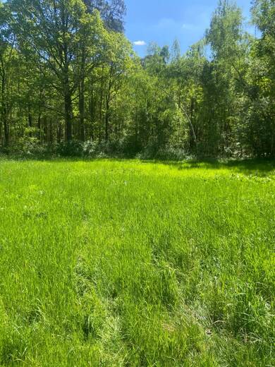 Land-/Forstwirtschaft zum Kauf provisionsfrei 4 € 23.000 m² 23.000 m² Grundstück Burggrafenhof Langenzenn 90579