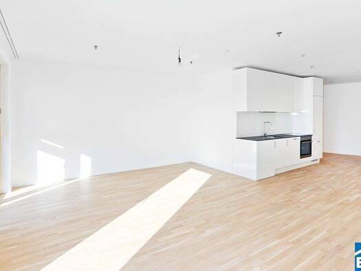 Studio zur Miete 825 € 1 Zimmer 44,8 m² 18. Geschoss Wien 1100