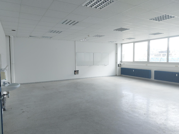 Bürofläche zur Miete provisionsfrei 5 € 206 m² Bürofläche Benzstraße Frickenhausen 72636