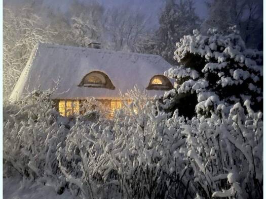 Einfamilienhaus zum Kauf 385.000 € 4 Zimmer 76 m² 2.997 m² Grundstück Ramstedt 25876