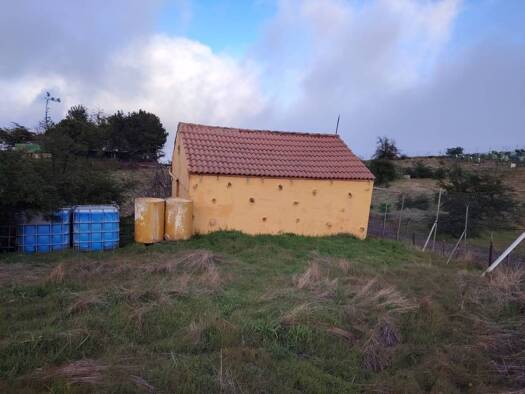 Acker-/Waldstück zum Kauf 120.000 € Moya 35421