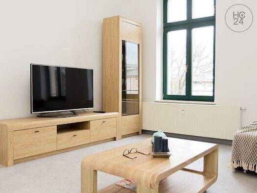 Wohnung zur Miete Wohnen auf Zeit 990 € 2 Zimmer 57 m² frei ab sofort Gohlis-Süd Leipzig 04155