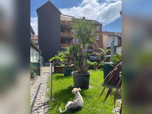 Maisonette zur Miete 738 € 4 Zimmer 125 m² Geschoss 3/4 frei ab 01.05.2026 Eisenach 99817