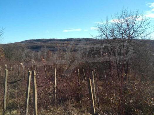 Landwirtschaftliche Fläche zum Kauf 34.500 € Veliko Tarnovo